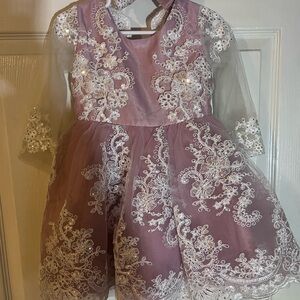 Elegant Lace Embroidered Dress